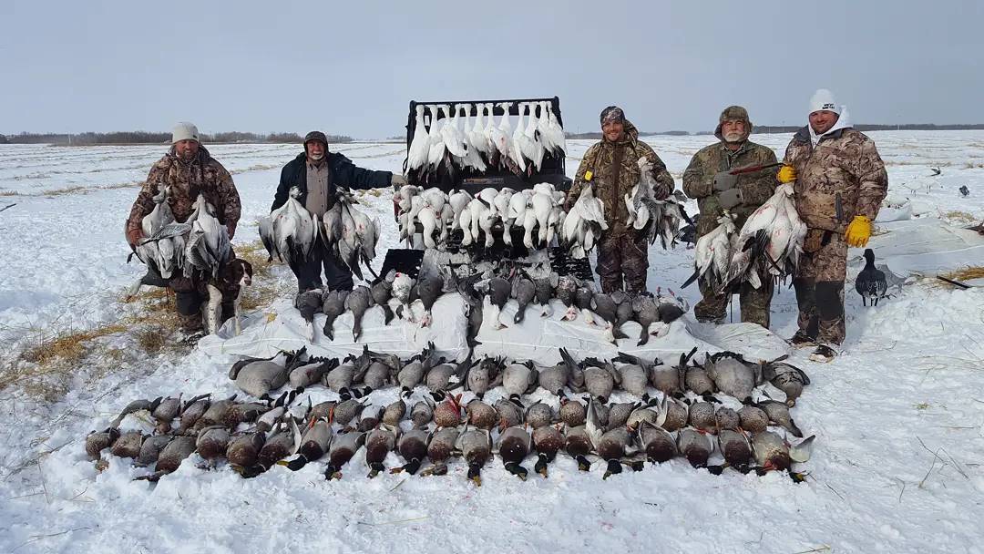 Eagle Head Outdoors - Spring Conservation Hunts