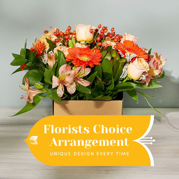 Florists Choice Arrangement in Container_flowers_delivery_interflora_nz