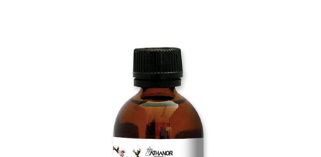 Gemm'Energie - Ginkgo