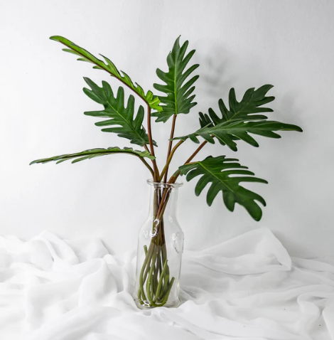 Small Xanadoo Leaf ( 12 Pack ) - Realistic Artficial Flowers - Image 3