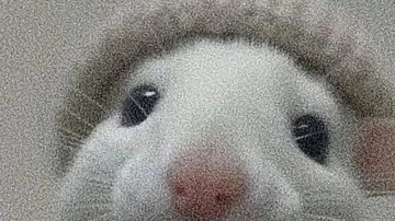 Main Content Image