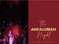صورة THE ANDALUSIAN NIGHT AT ASIL
