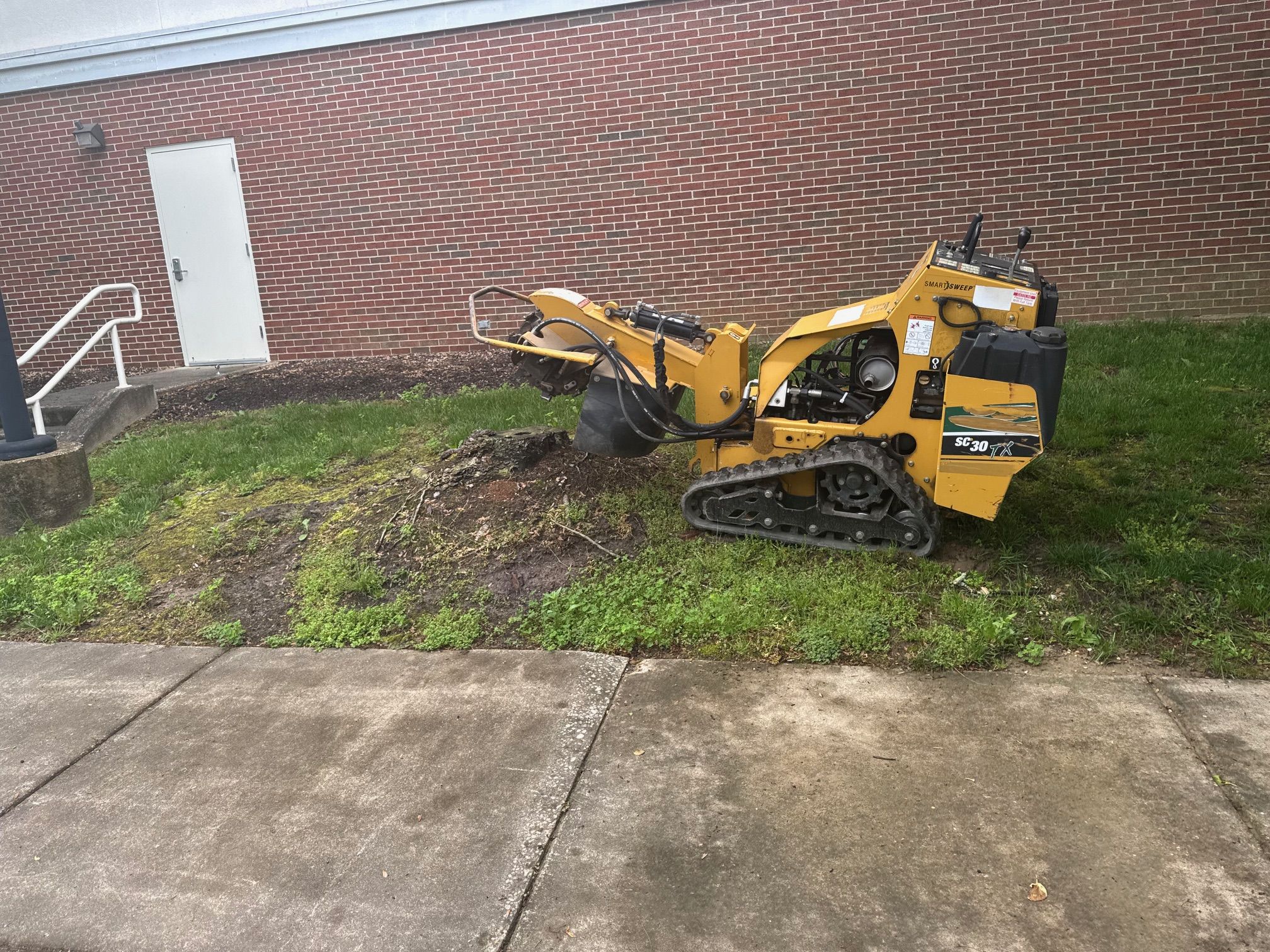 Commercial Stump Removal