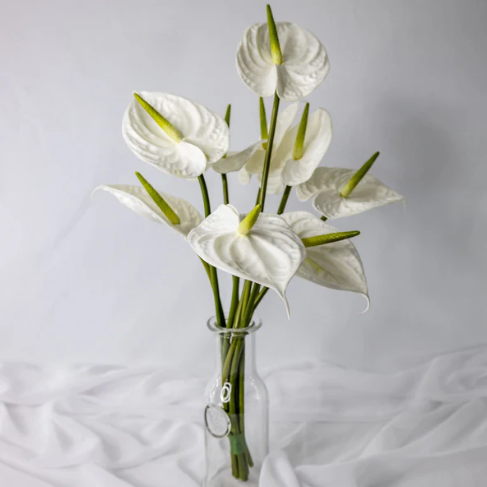 White Large Anthurium - Realistic Artificial Flowers