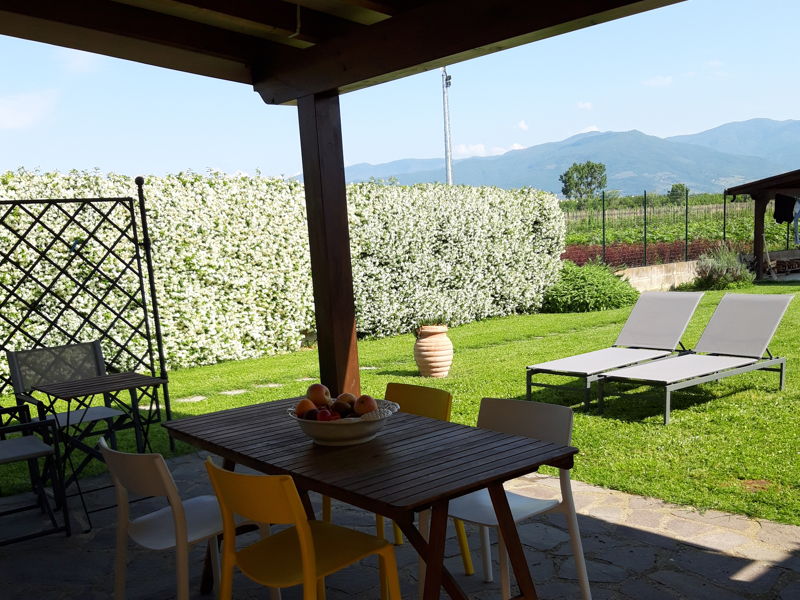 Cooking classes Agliana: Tuscan ribollita cooking class with tasting