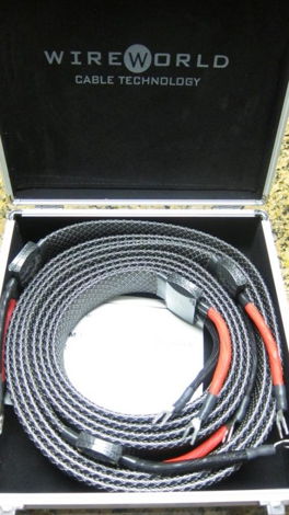 WireWorld Platinum Eclipse 3M Speaker Cables - spades b...