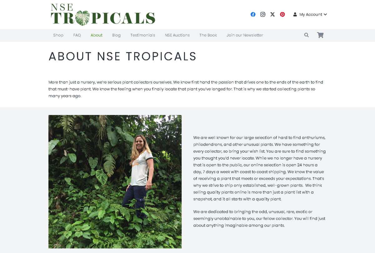 Screenshot of NSE Tropicals , from the about us page examples collection.
