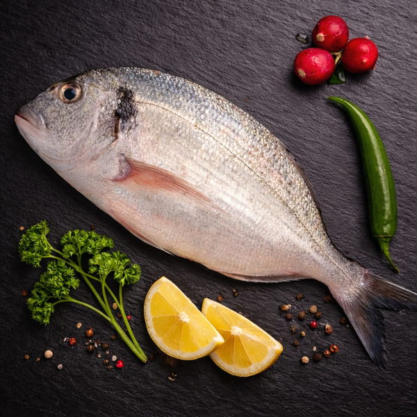 daurade-royale-sauvage