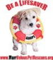 Marrvelous Pet Rescue logo