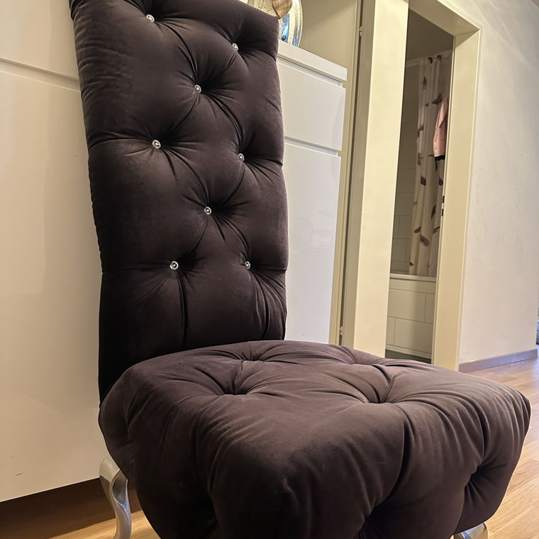 Designer Sessel von der Marke: Bretz 