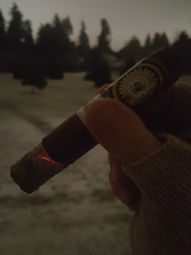 Cigar Session Photo