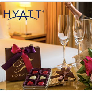 Hyatt Gift Card for Honeymoon