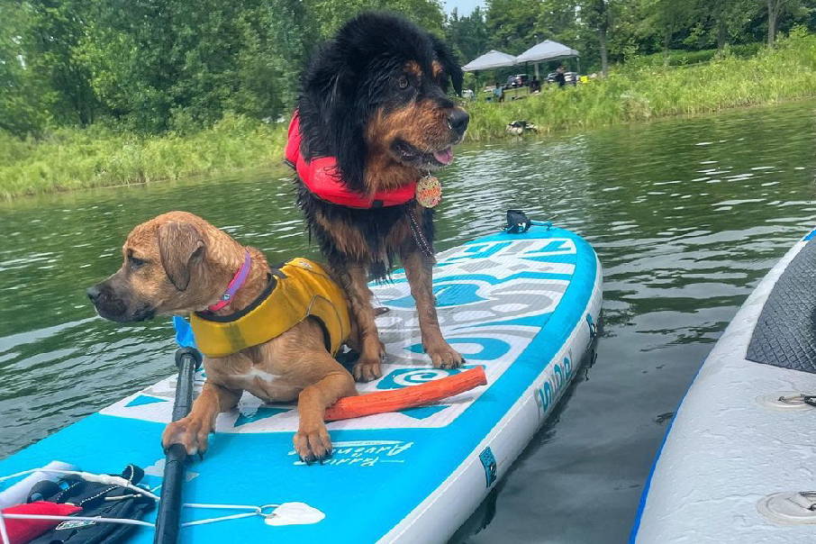 Funwater stand up paddle board in Canada