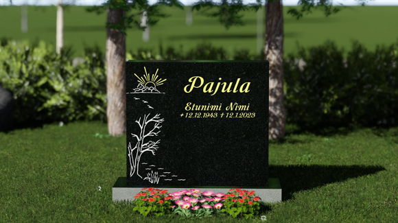 profile-6