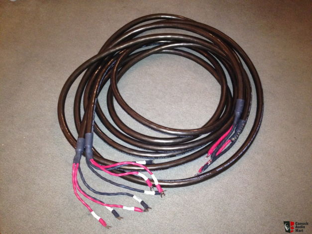 Cardas Hexlink Golden 5C Speaker Cable 17 Feet Bi-Wire ...