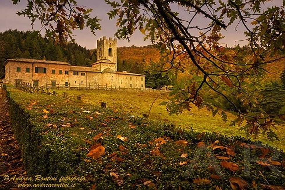  Siena (SI)
- autunno in chianti ar3.jpg