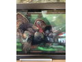 NWTF gobbler stained glass