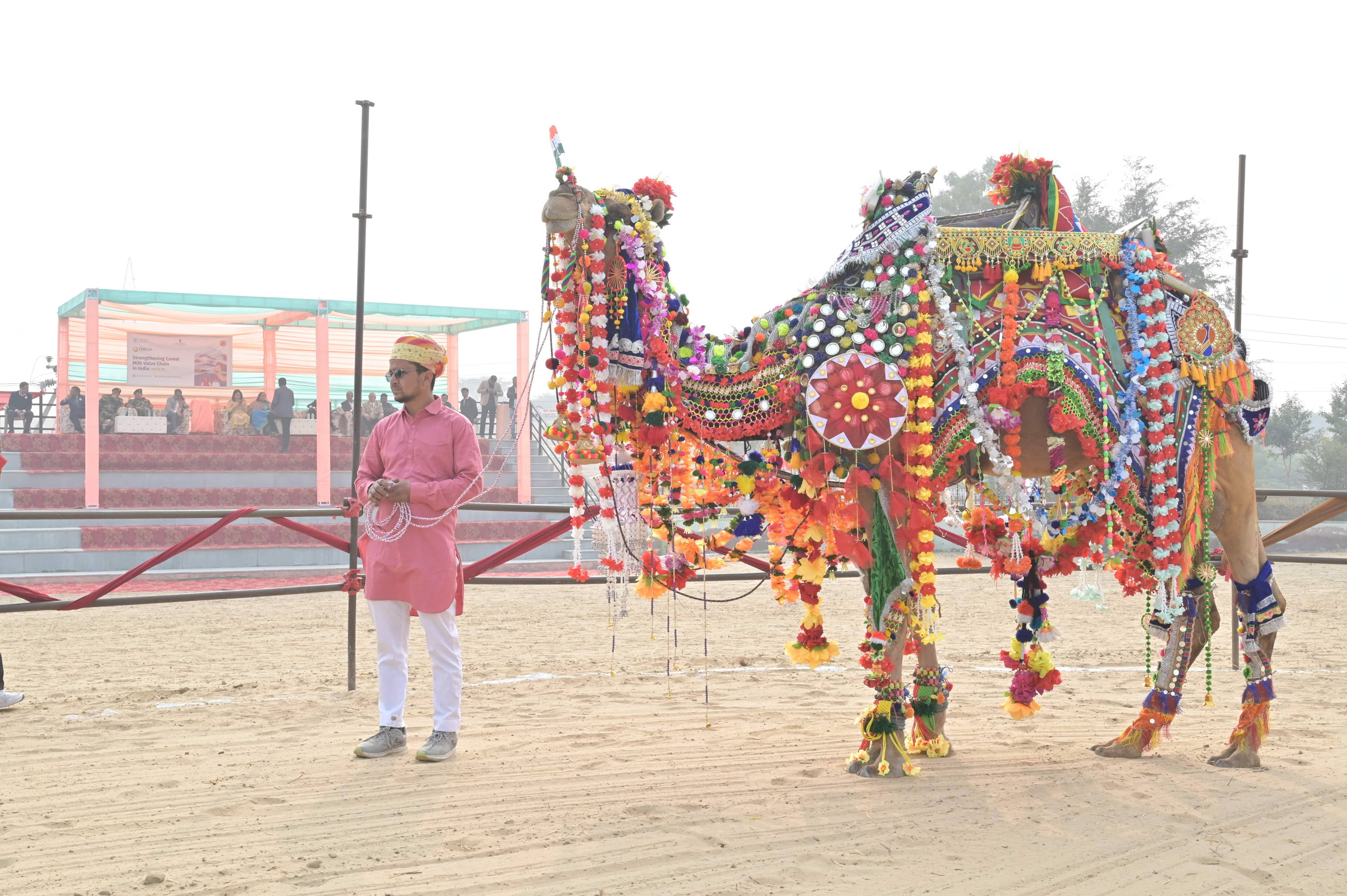  International Year of Camelids