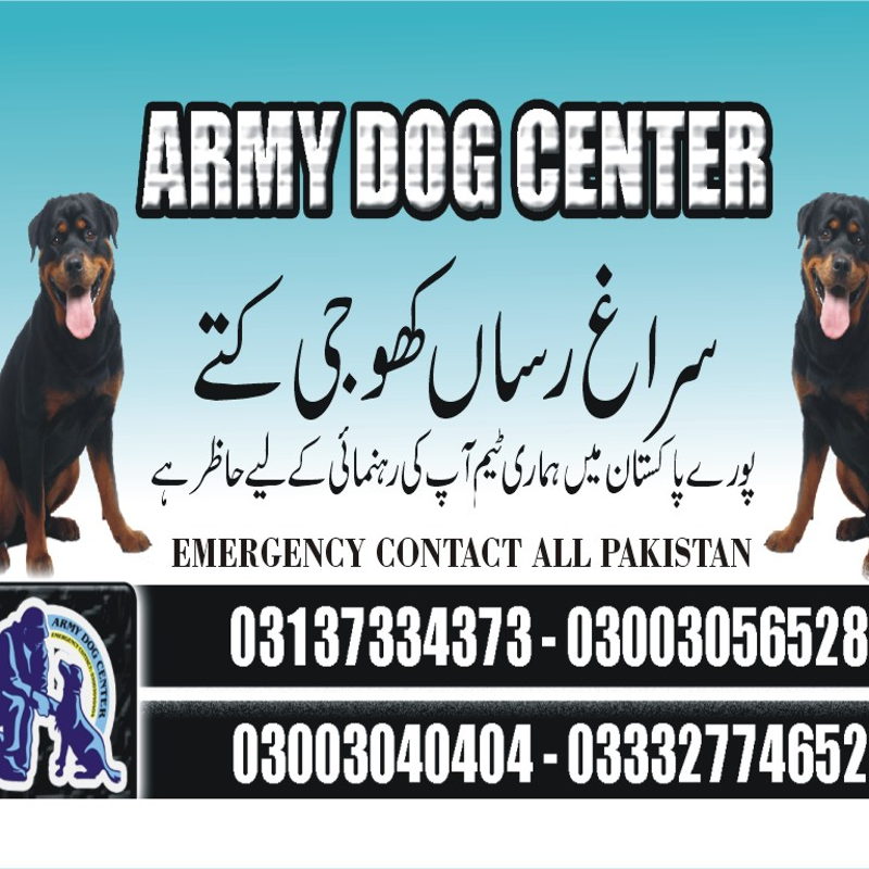 Army Dog Center 03003040404 cover