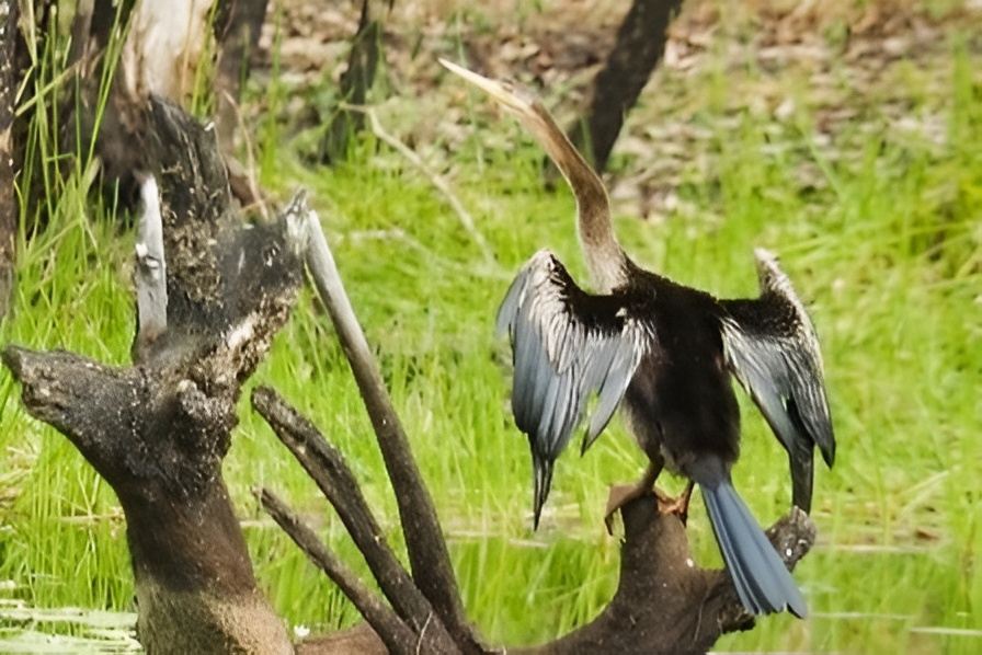 Rossville Retreat Voucher - Image 9