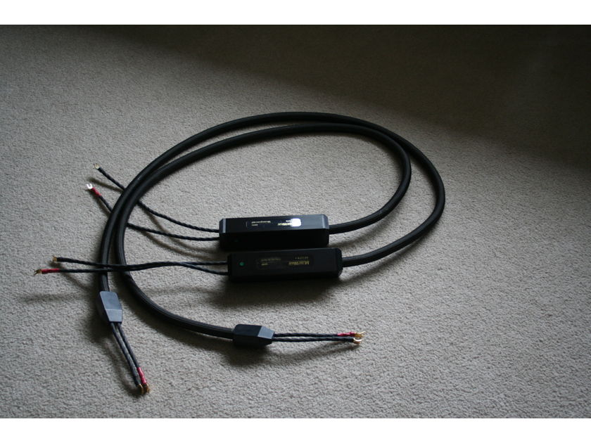 Transparent Audio Music Waver Super 8ft Speaker Cable