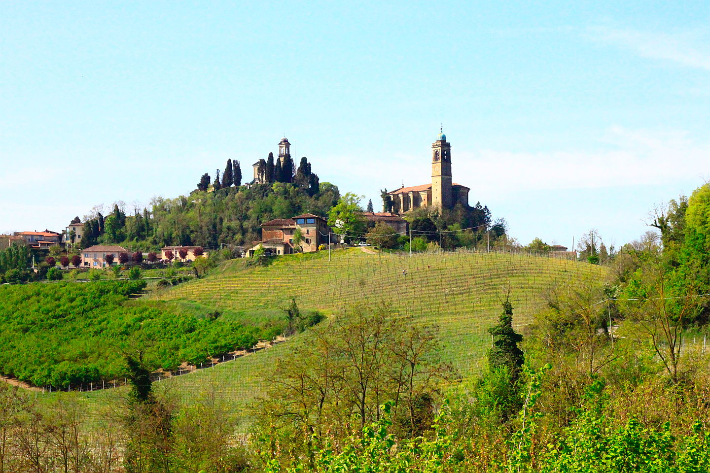  Asti
- vista monferrato