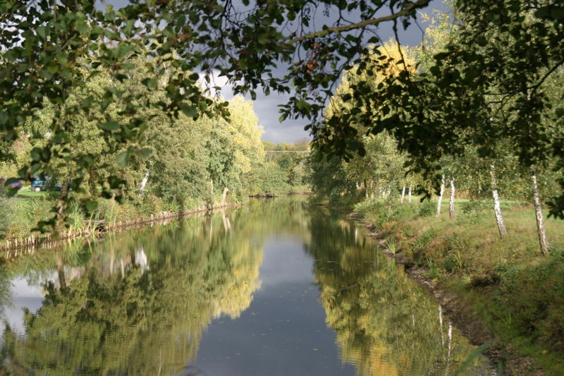 Altrhein