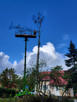 profile-5