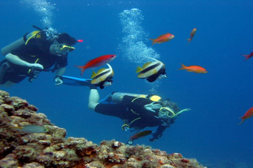 Путешествие в подводный мир Красного моря