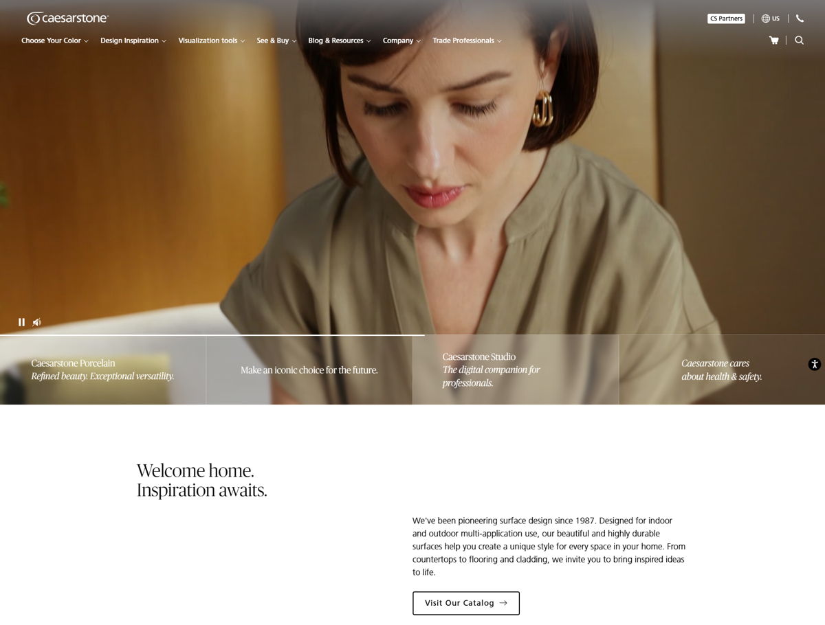 Screenshot of Caesarstone US, from the wordpress websites collection.