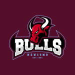 Newcomb Cricket Club Logo