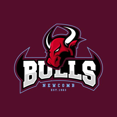 Newcomb Cricket Club Cricket Club Logo