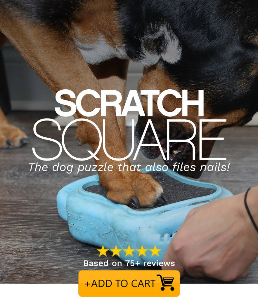 scratch square - the dog puzzle that also files nails!