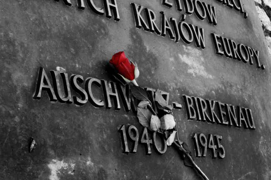Krakow to Auschwitz Birkenau Guided Tour with Transfer and Ticket - photo 1