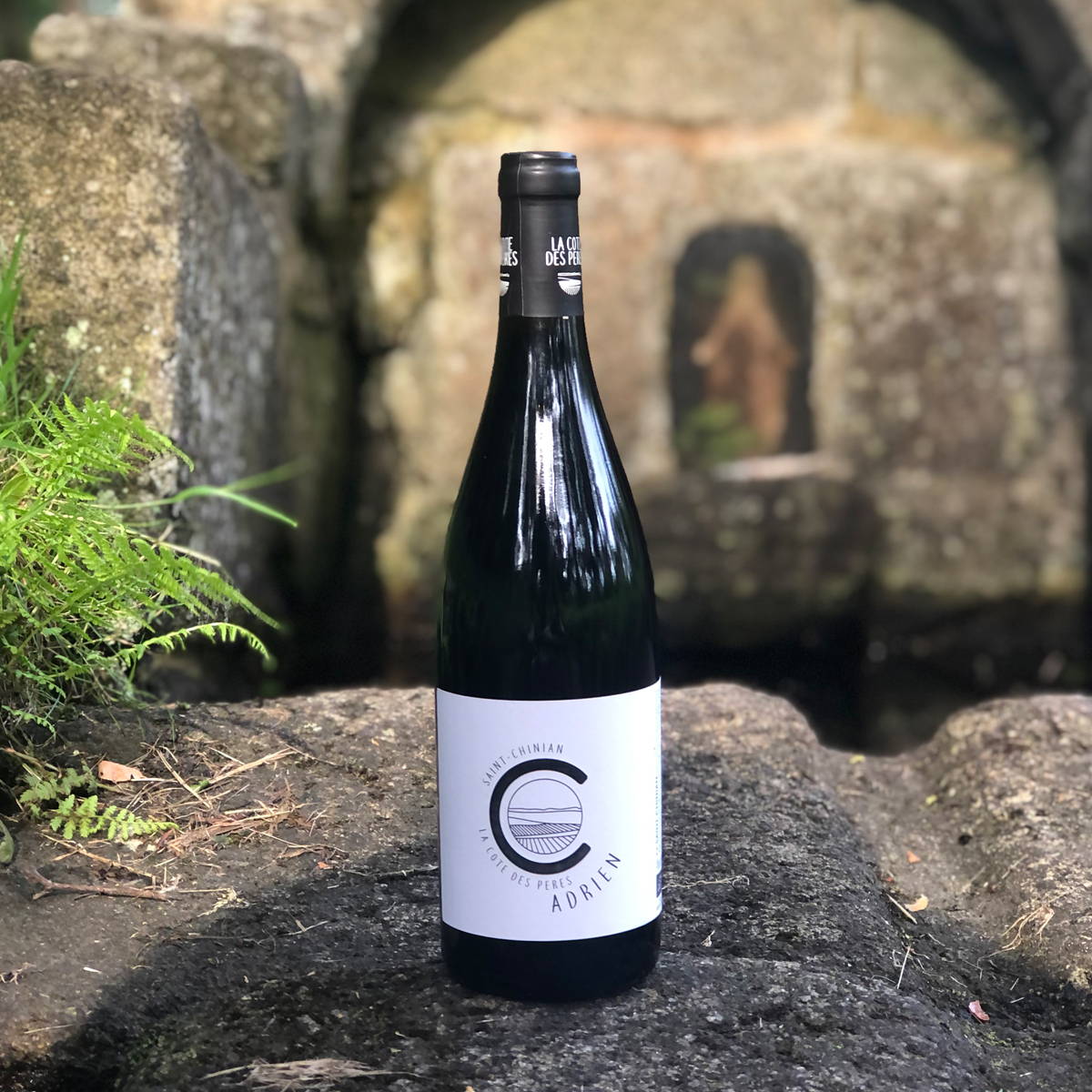 France, vin nature, rawwine, organic wine, vin bio, vin sans intrants, bistro brute, vin rouge, vin blanc, rouge, blanc, nature, vin propre, vigneron, vigneron indépendant, domaine bio, biodynamie, vigneron nature, cave vin naturel, cave vin, caviste, vin biodynamique, bistro brute, Quimper, Finistère , prix amis