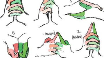 Main Content Image