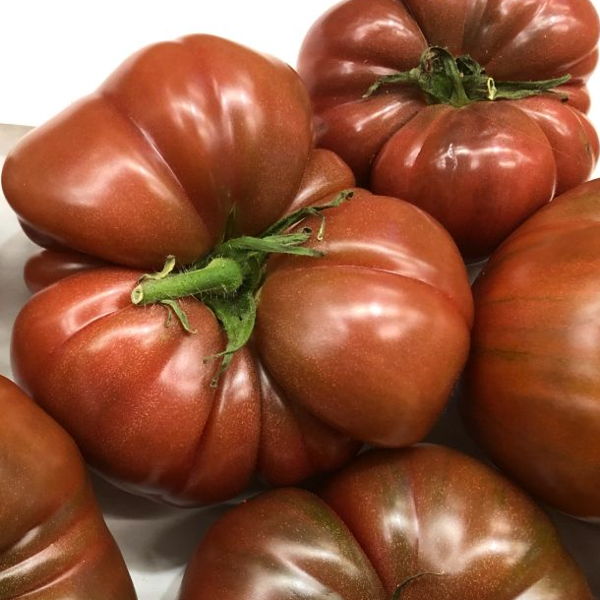 tomate-noire-de-crimee