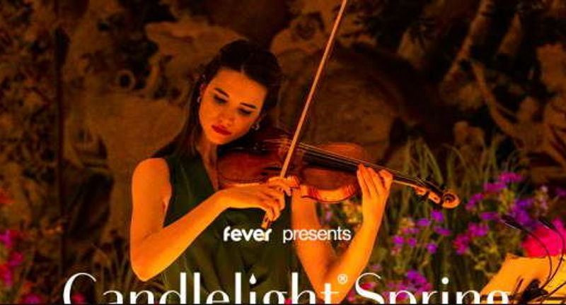Candlelight: Neo-Soul Favorites ft. Songs by Prince, Childish Gambino, & More