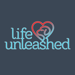 LifeUnleashed Avatar
