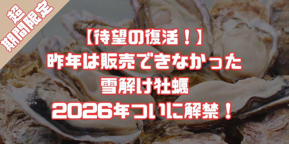 2026年シーズン雪解け牡蠣の販売開始｜2年ぶりの春限定牡蠣