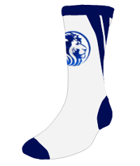 Lion Head on Socks