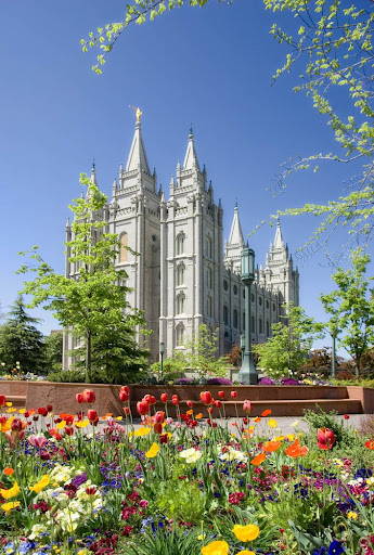 Angled Salt Lake Temple picture showcasing a fully and colorful flowerbed.