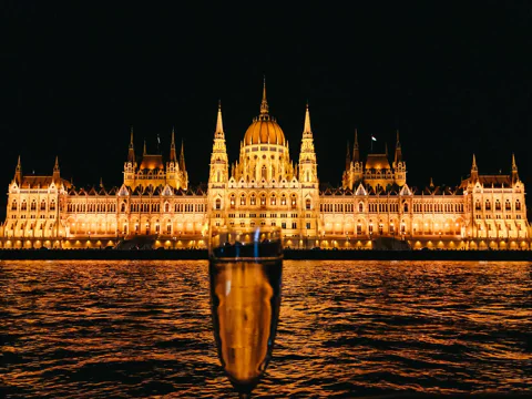 Sightseeing Cruise with Drink (Daytime or Nighttime)