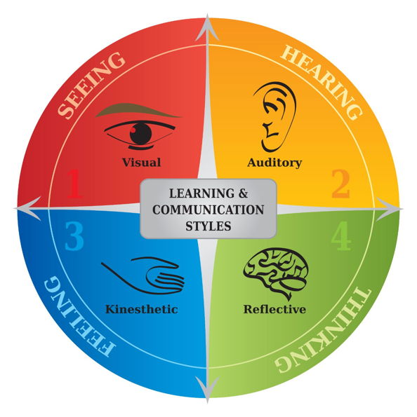 What are learning styles? | MTS Ltd