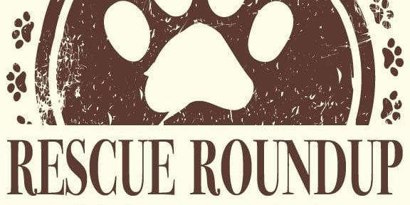 Rescue Round Up promotional image