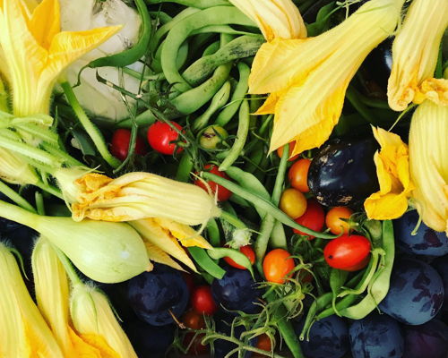 Cooking classes Loano: Cooking class: Bella Italia's recipes