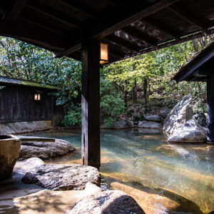 Japan Honeymoon Fund