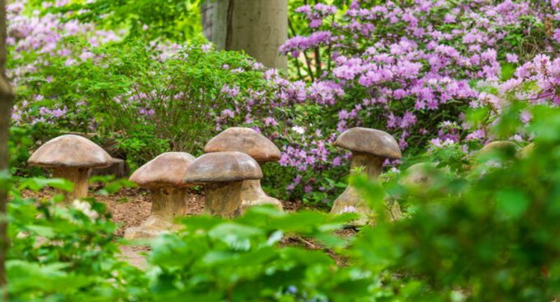 Garden & Estate Insider: Enchanted Woods