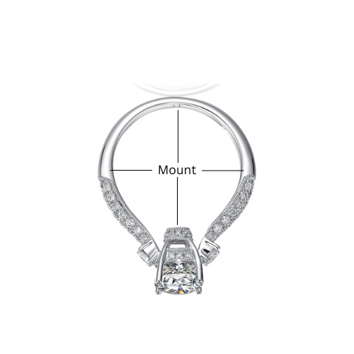mount img
