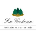 Image Profile